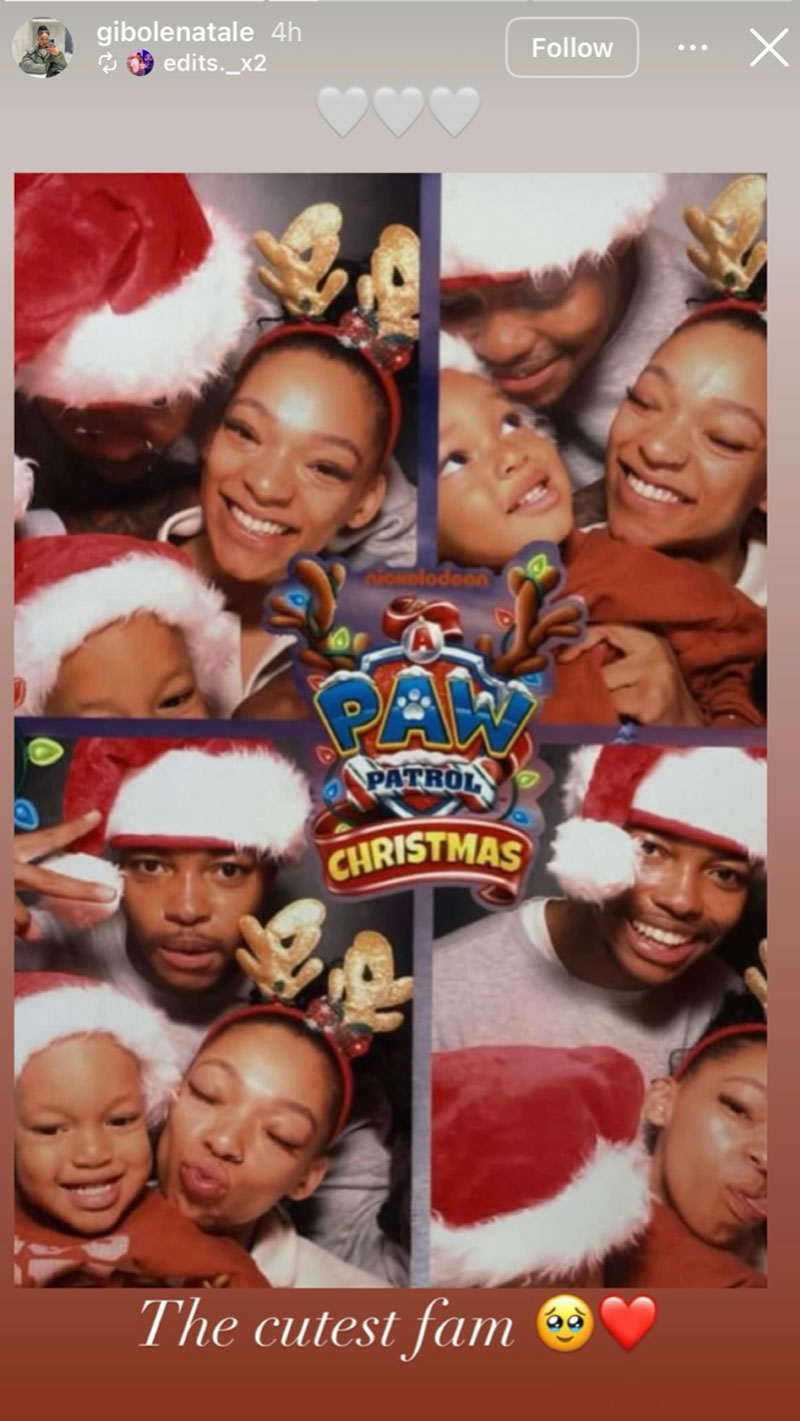 All Paws on Deck for Christmas