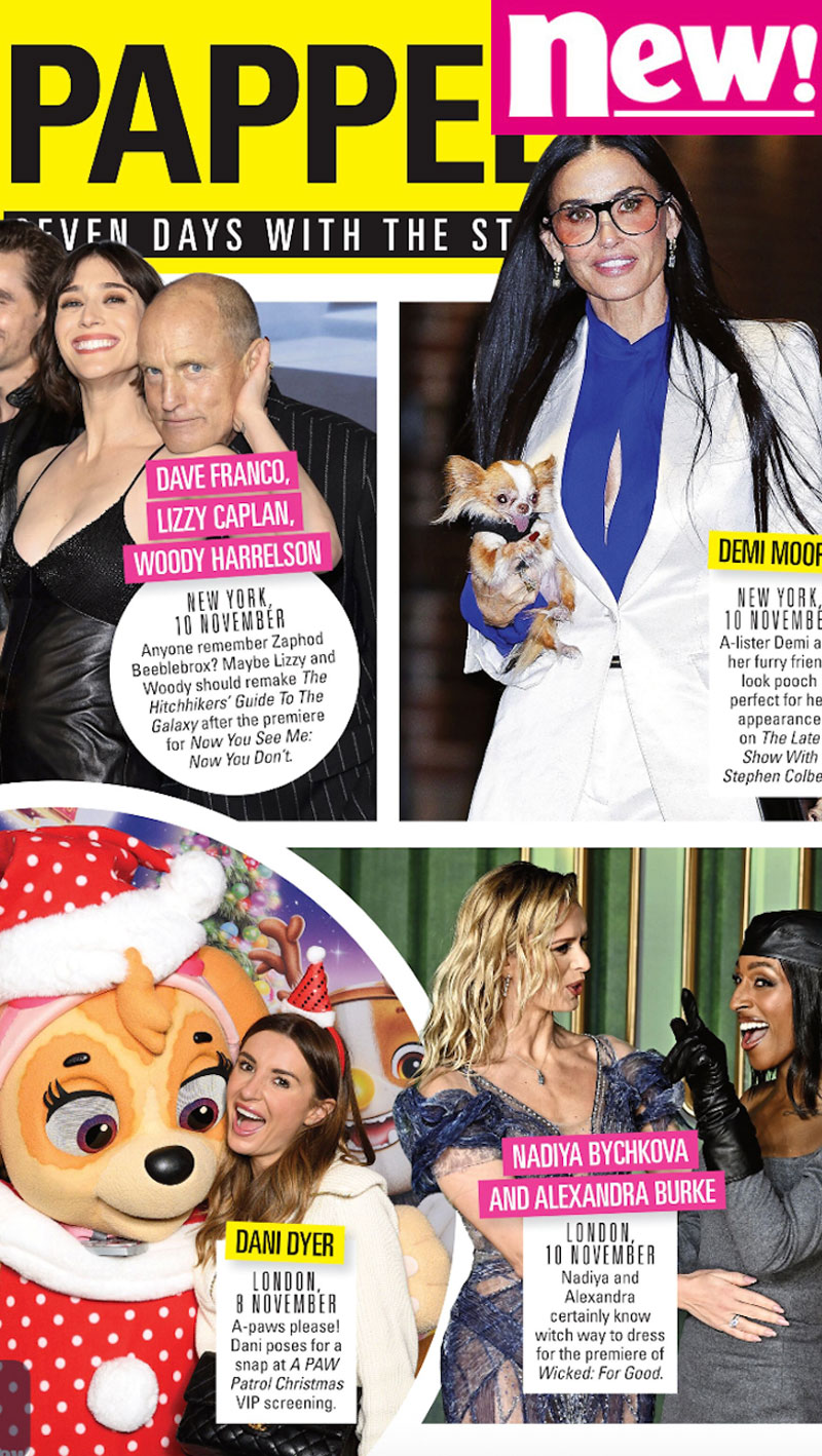 All Paws on Deck for Christmas